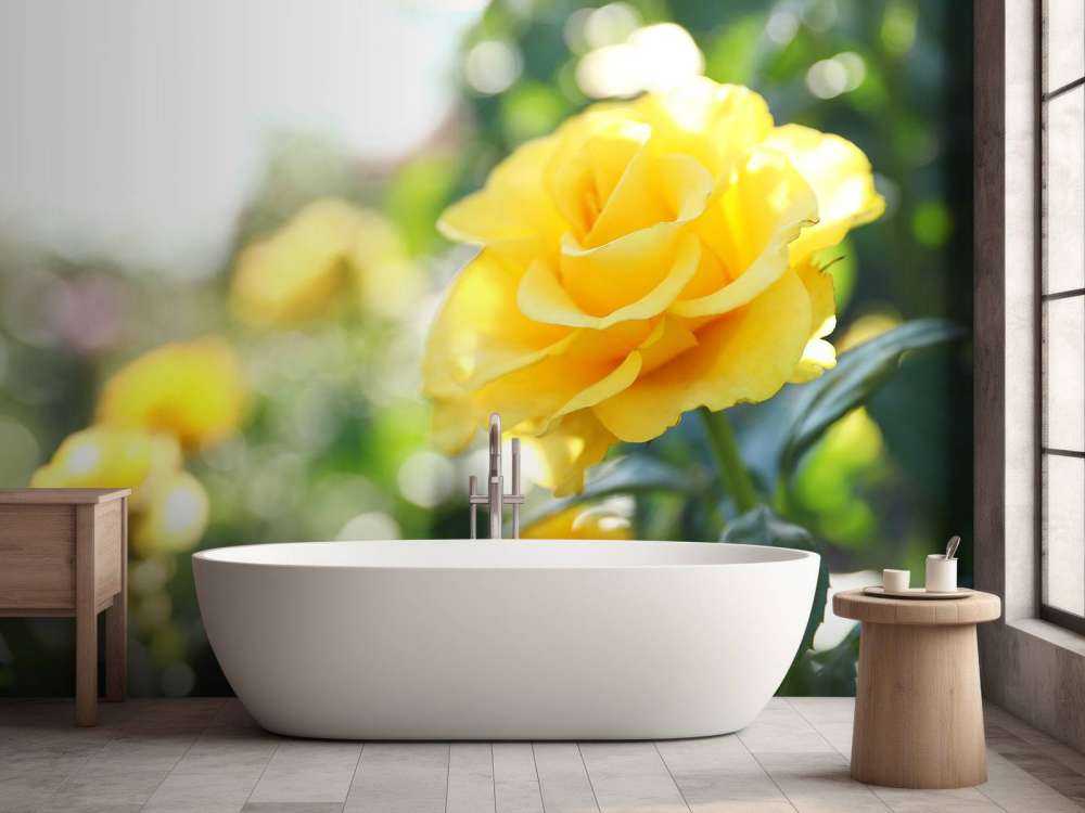 Roses jaunes