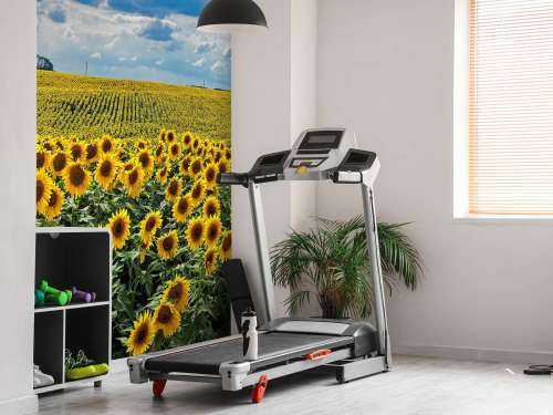 Une prairie pleine de tournesols