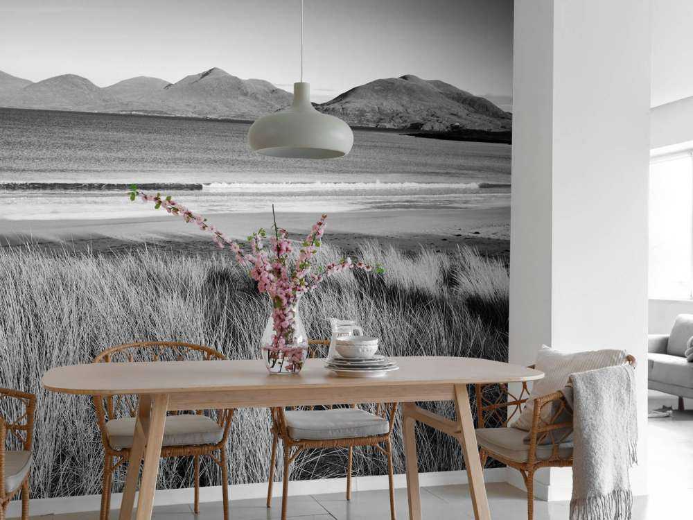 L'herbe de dunes, plage en montagne
