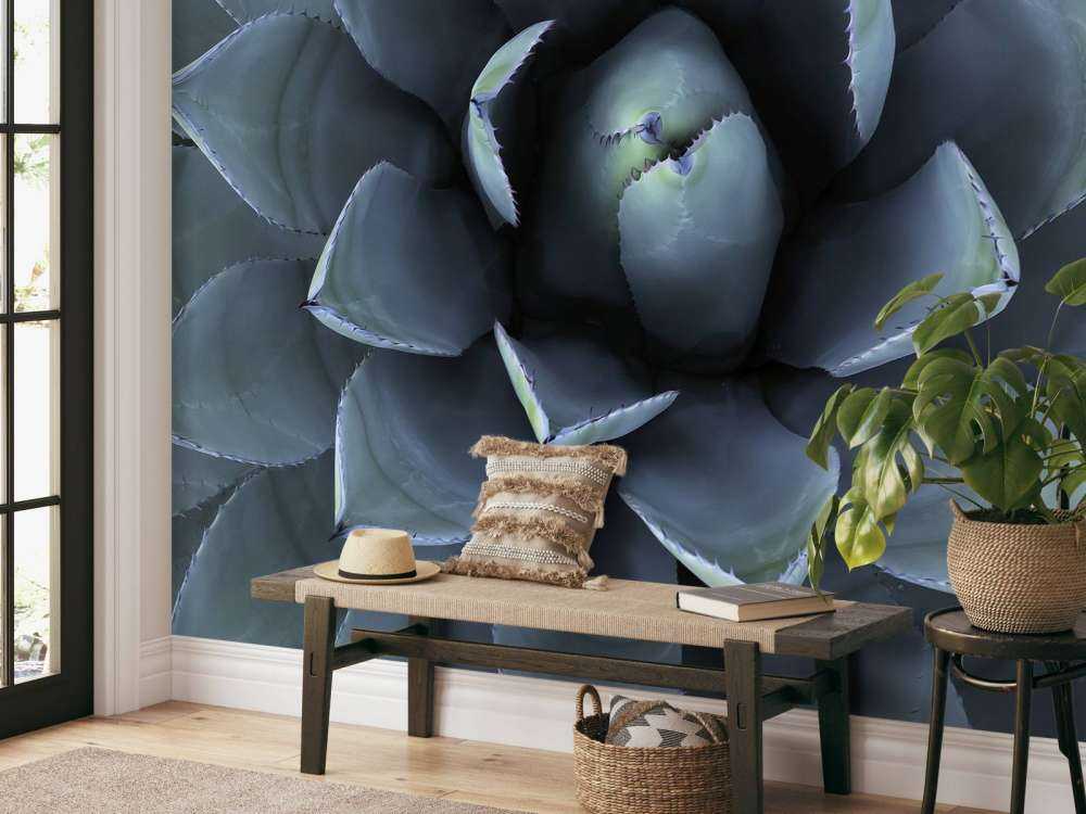 Bleu succulent