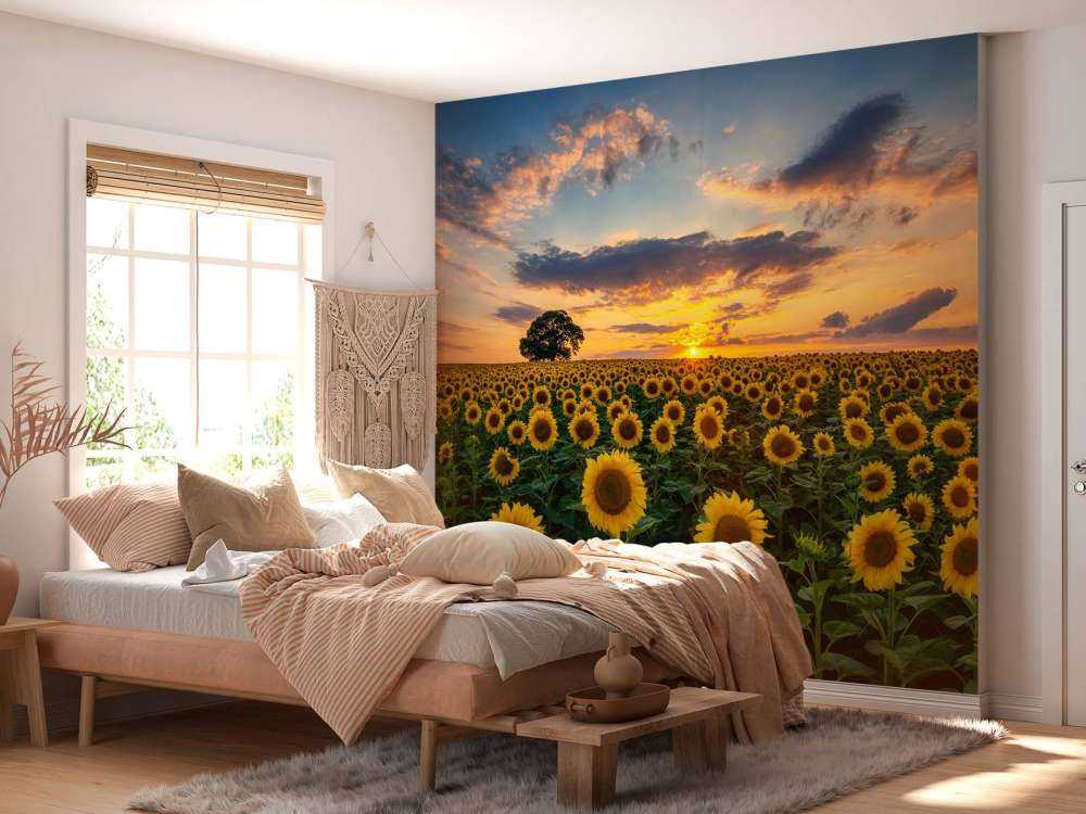 Un champ de tournesols