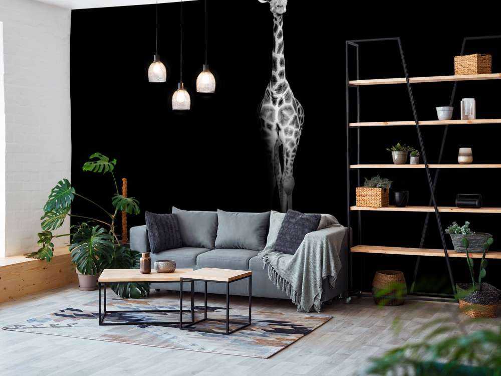 Girafe en noir et blanc