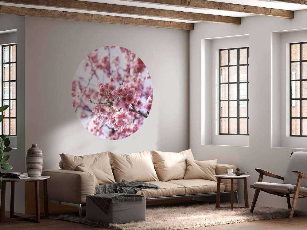 Gros plan sur la fleur rose