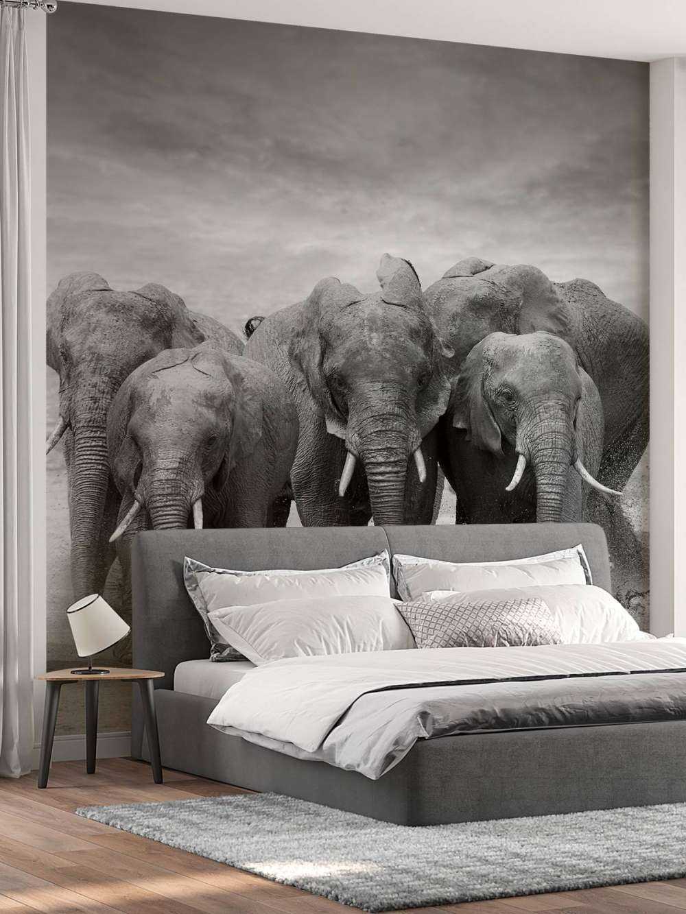 Troupeau d'éléphants