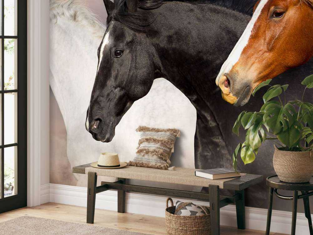 Troupeau de chevaux