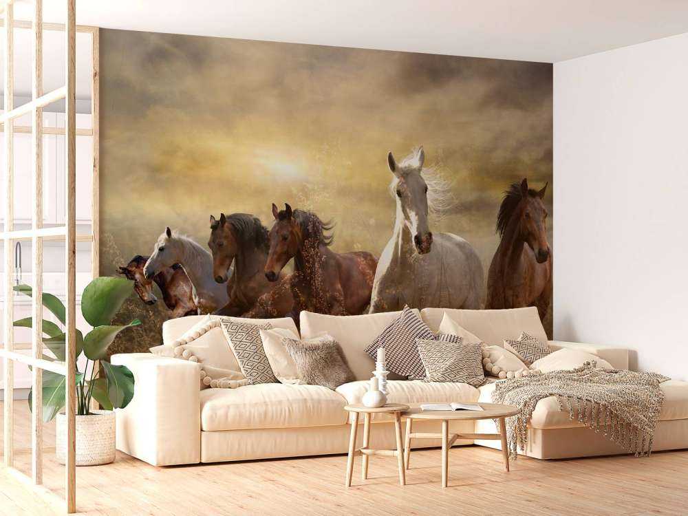 Chevaux au galop au coucher du soleil