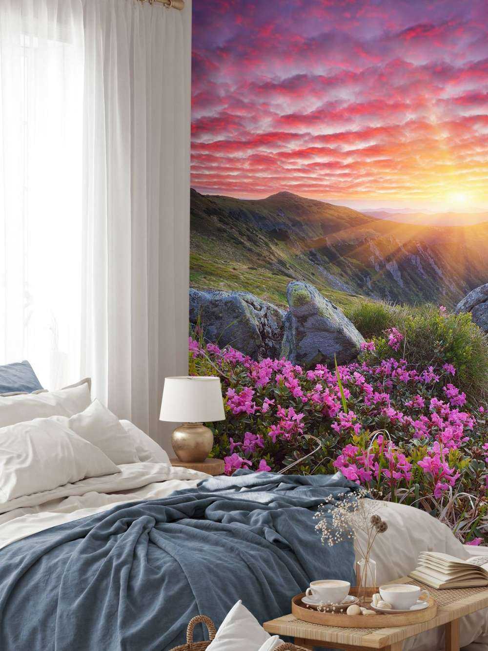 Coucher de soleil pourpre