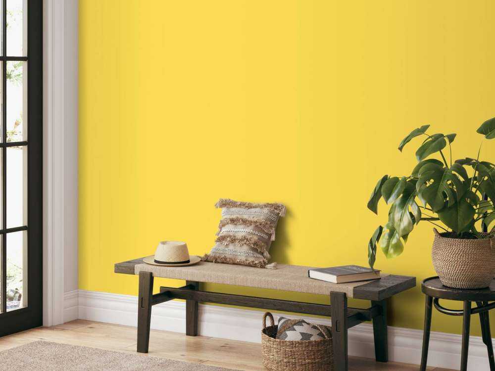 Jaune minion