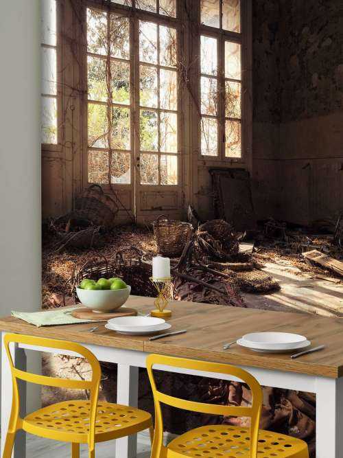Colonia I