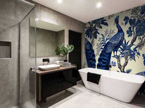 Splendeur du paon bleu royal
