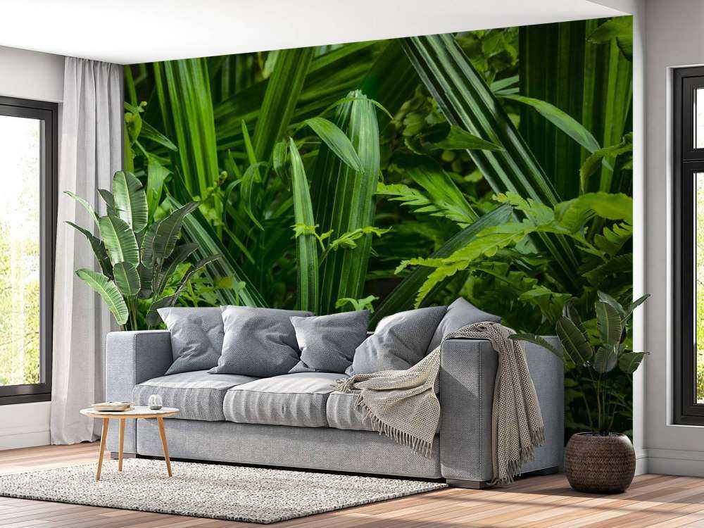 Panorama avec des plantes