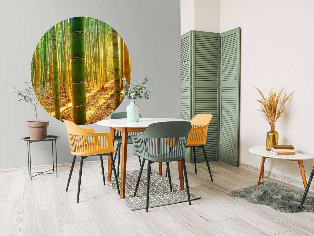 Forêt de bambous au lever du soleil