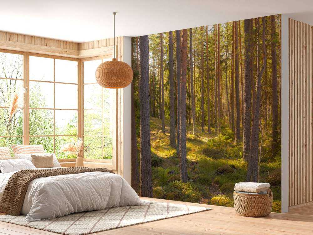 Forêt en été