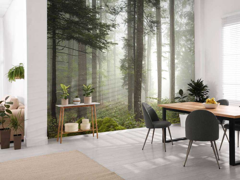 Beau paysage brumeux