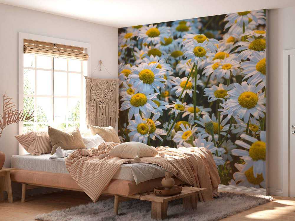 Marguerites vintage