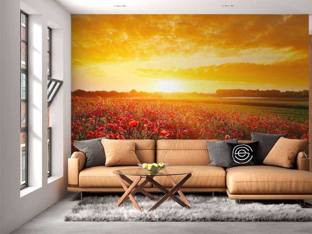 Coquelicots et coucher de soleil