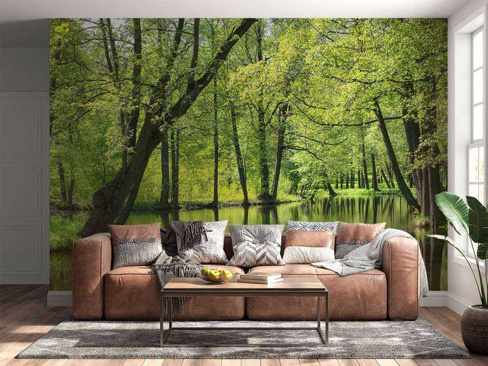 Paysage d'été