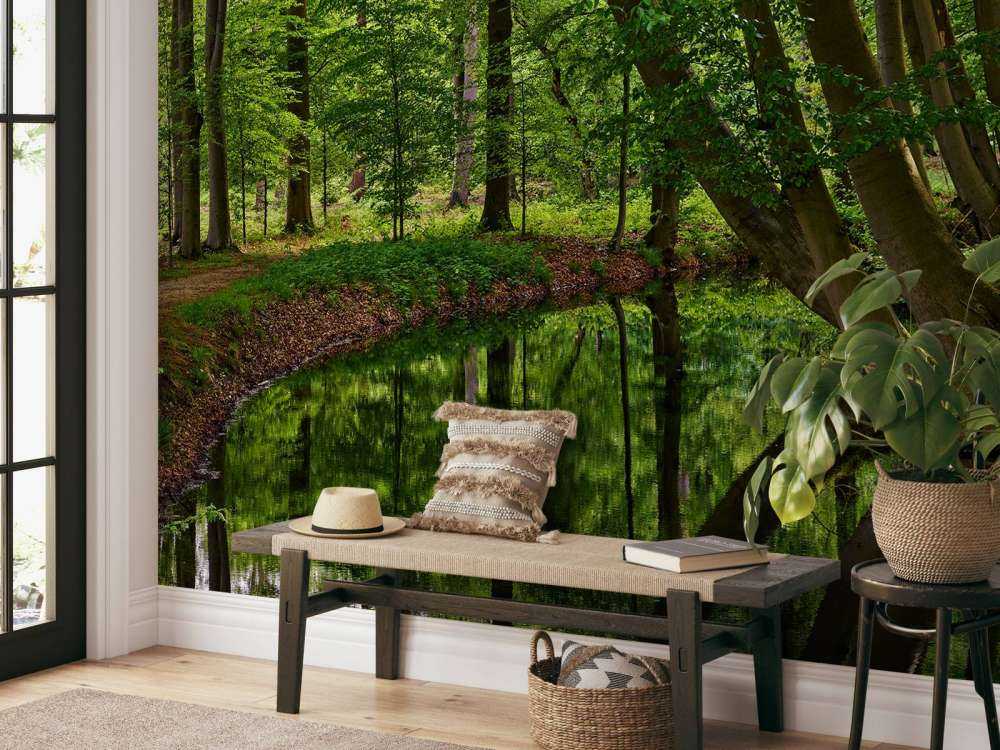 Arbres courbés près de l'eau
