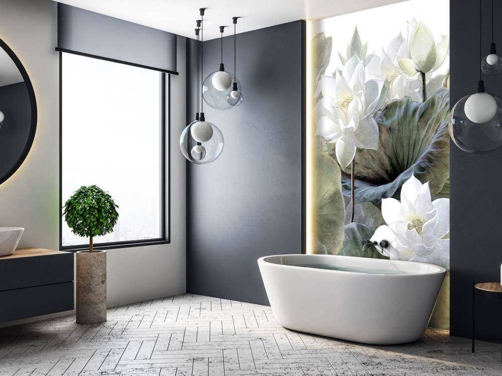Plantes aquatiques
