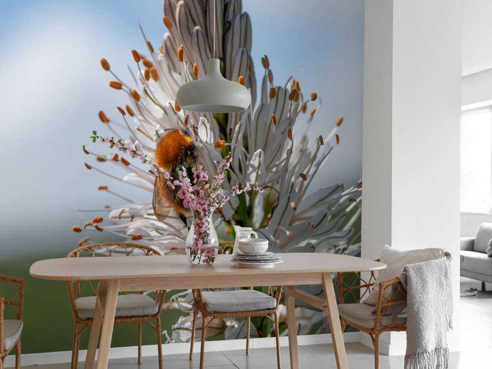 Fleur blanche orange