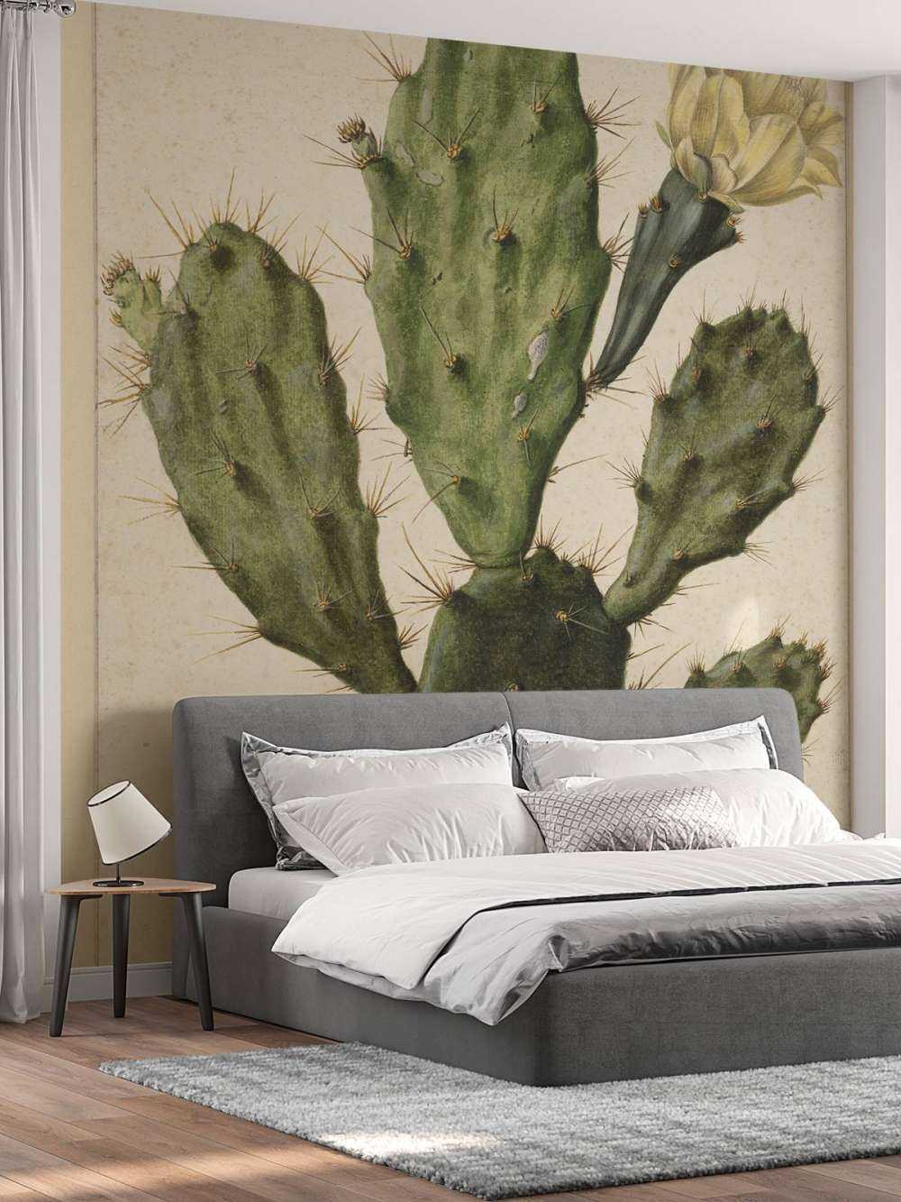 Cactus figuier à fleurs