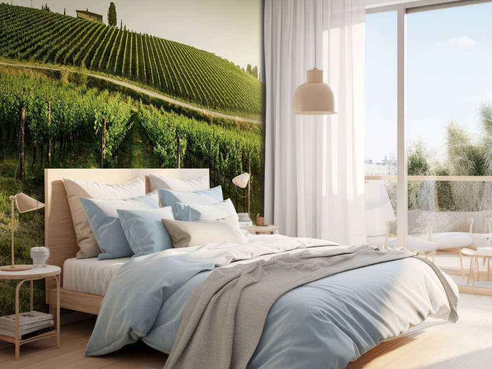 vignoble toscan