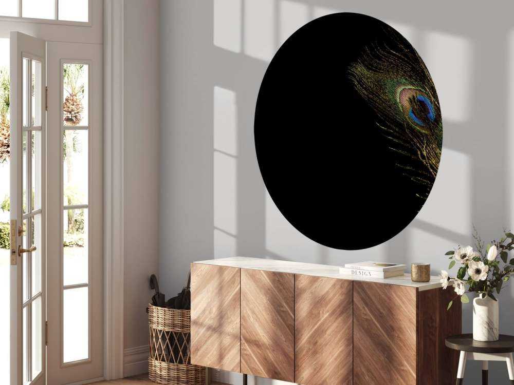 Plume de paon colorée