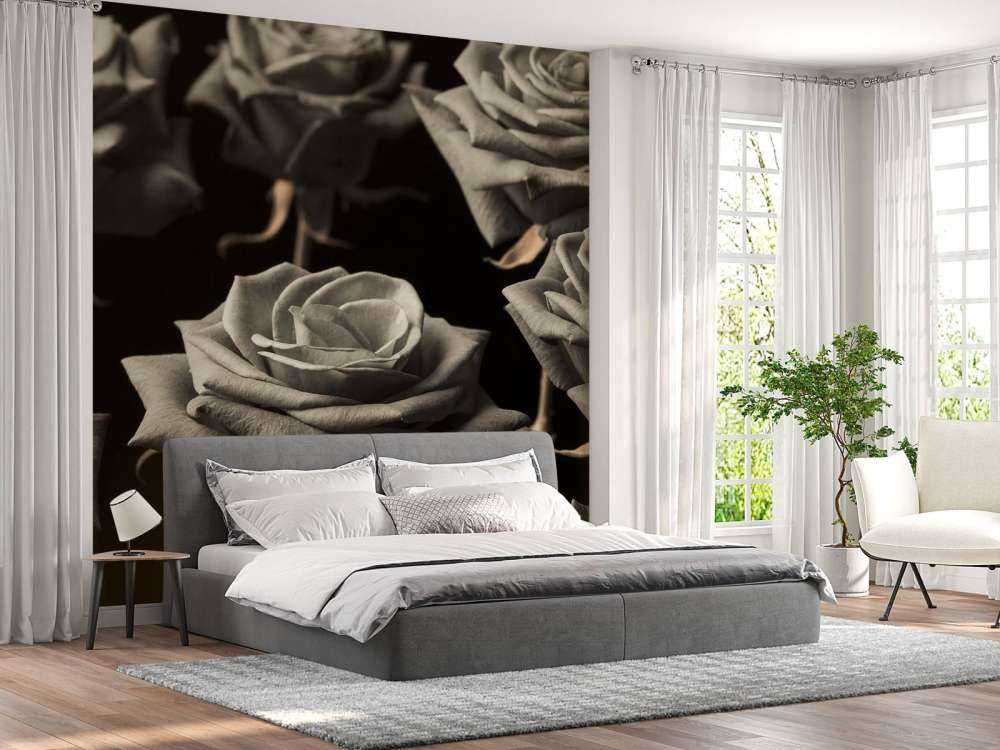 Roses sépia