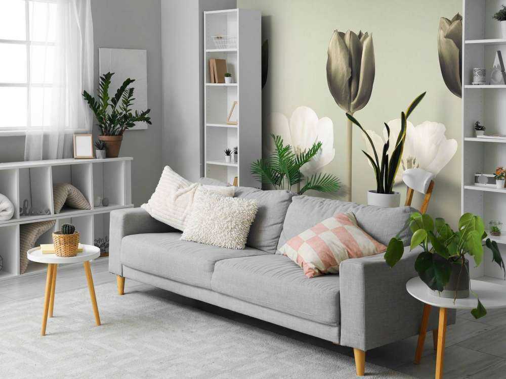 Tulipes en ligne