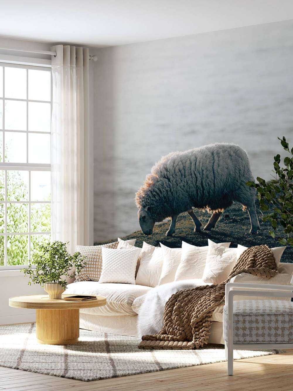 Moutons au pâturage