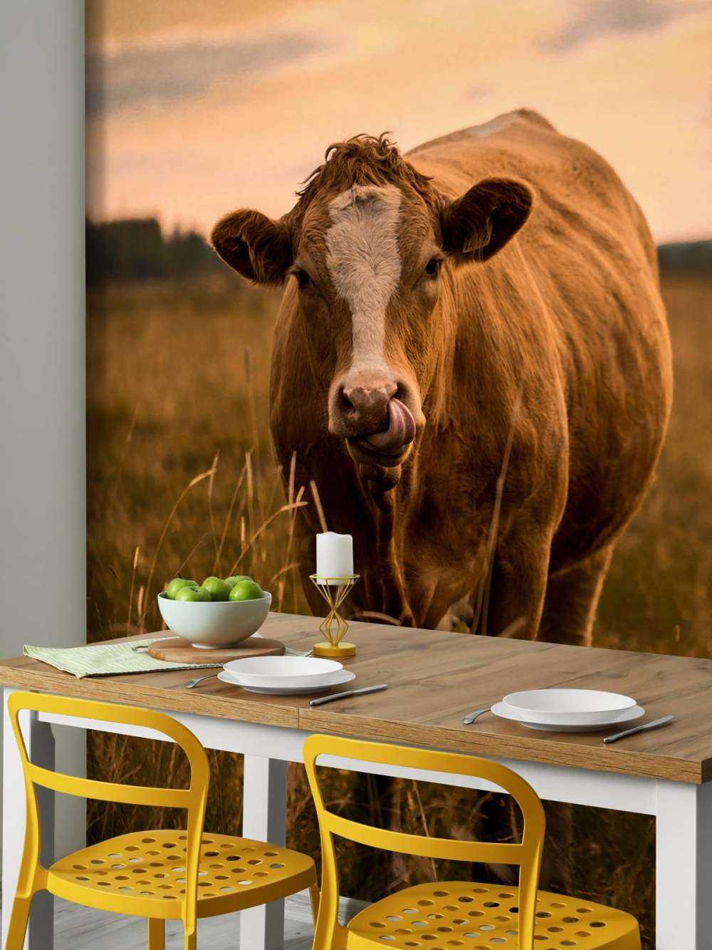 Vache avec la langue dans le nez
