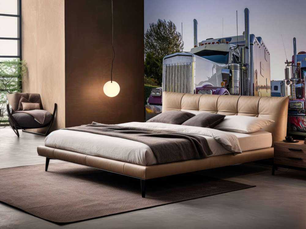Camions classiques