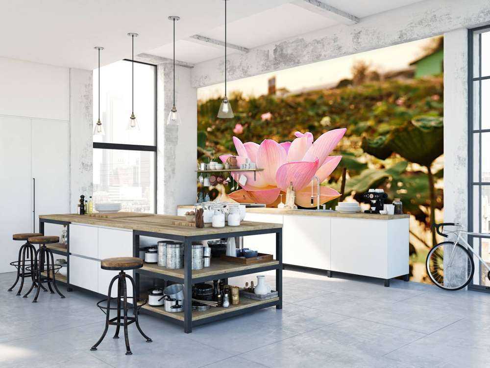 La fleur de lotus rose