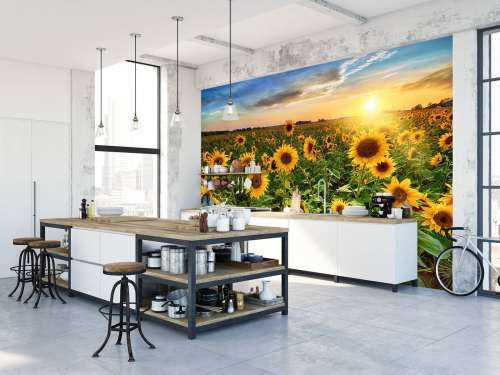 Un beau champ de tournesols