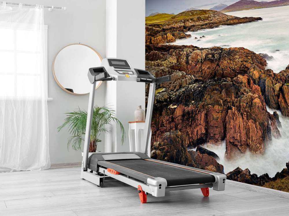 Rivage avec des rochers