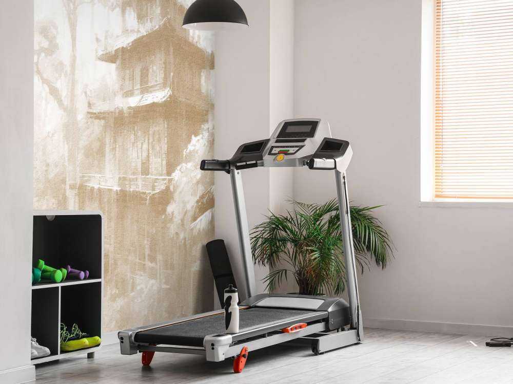 Cabane Cachée dans la Forêt Brumeuse, taupe