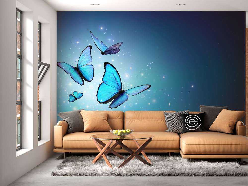 Papillons de fée sur l'eau