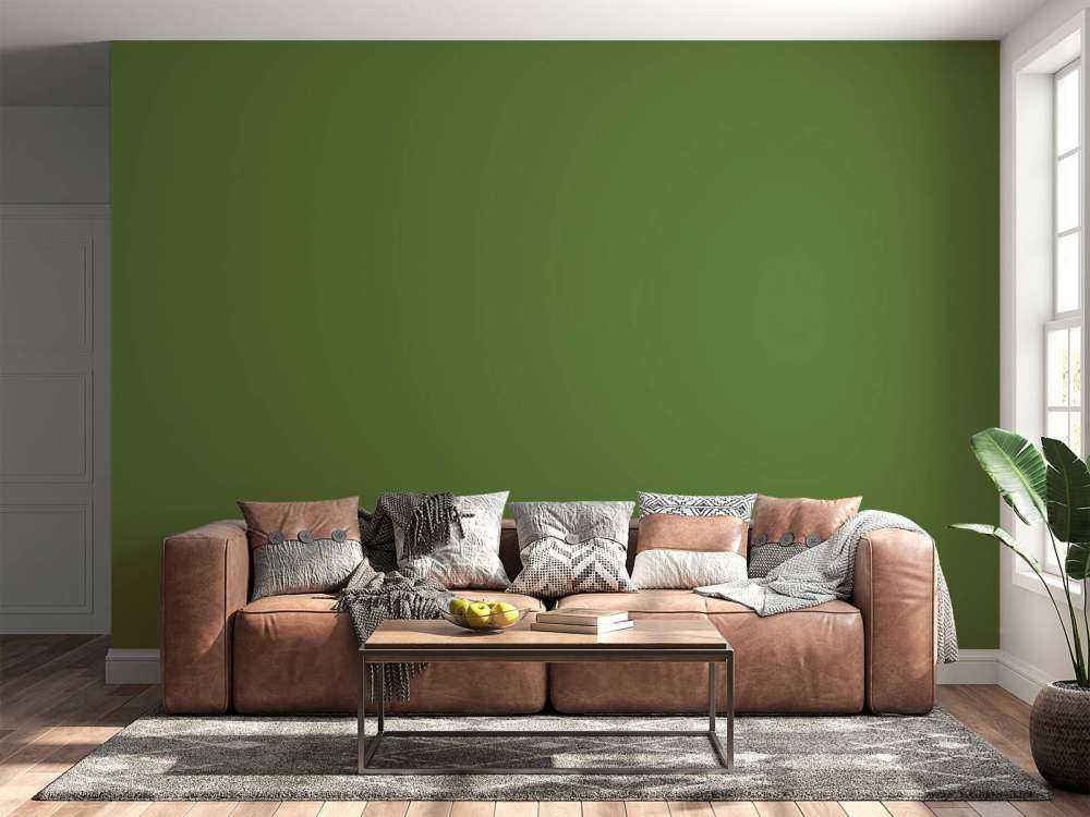 Vert Avocat