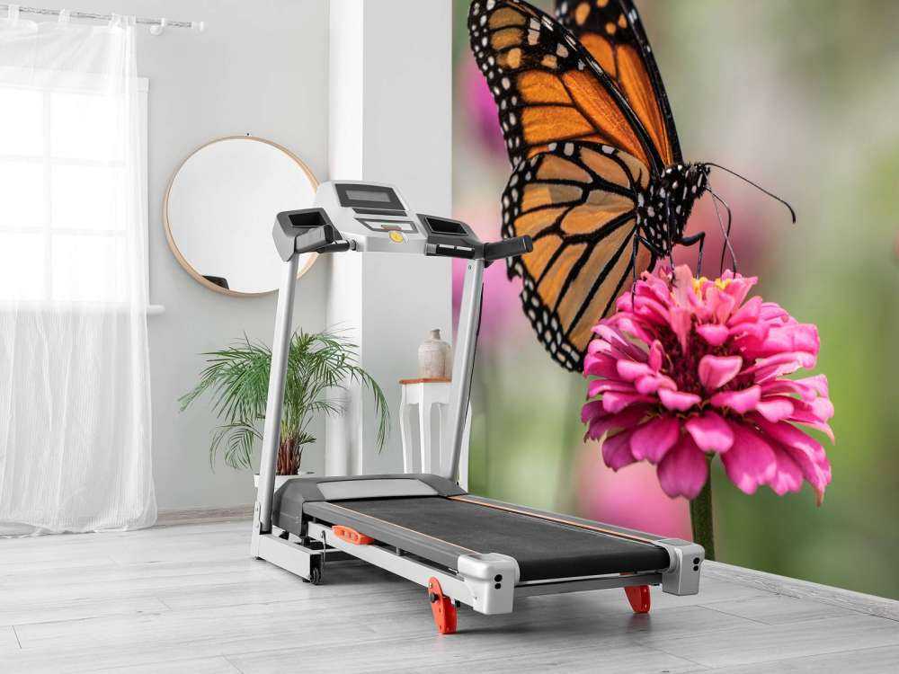 Un papillon monarque