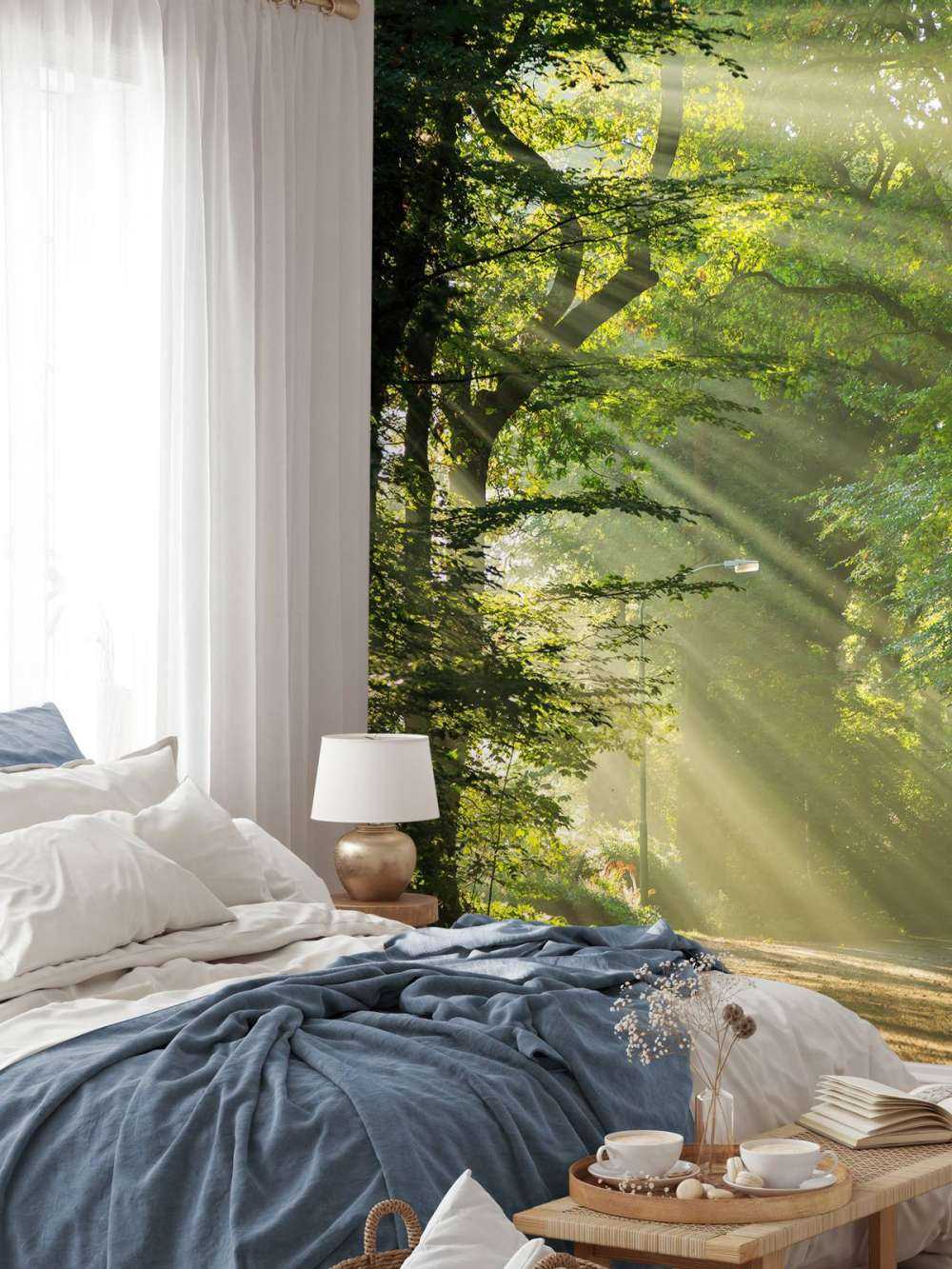 Des rayons de soleil à travers les arbres
