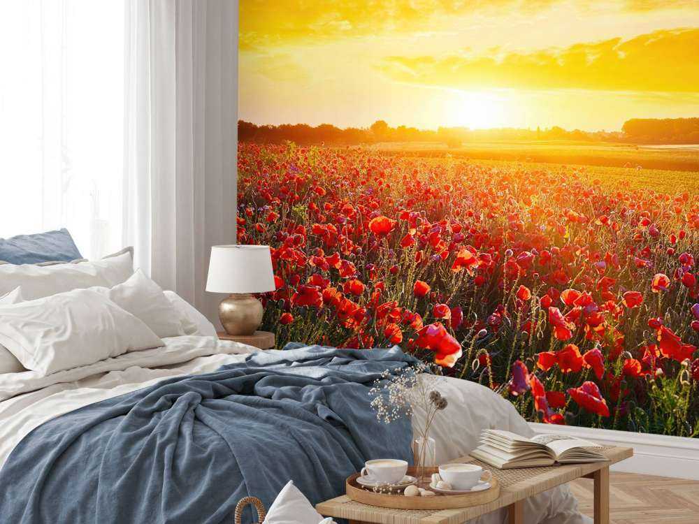 Coquelicots et coucher de soleil