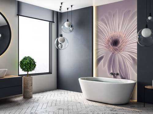 Gerbera