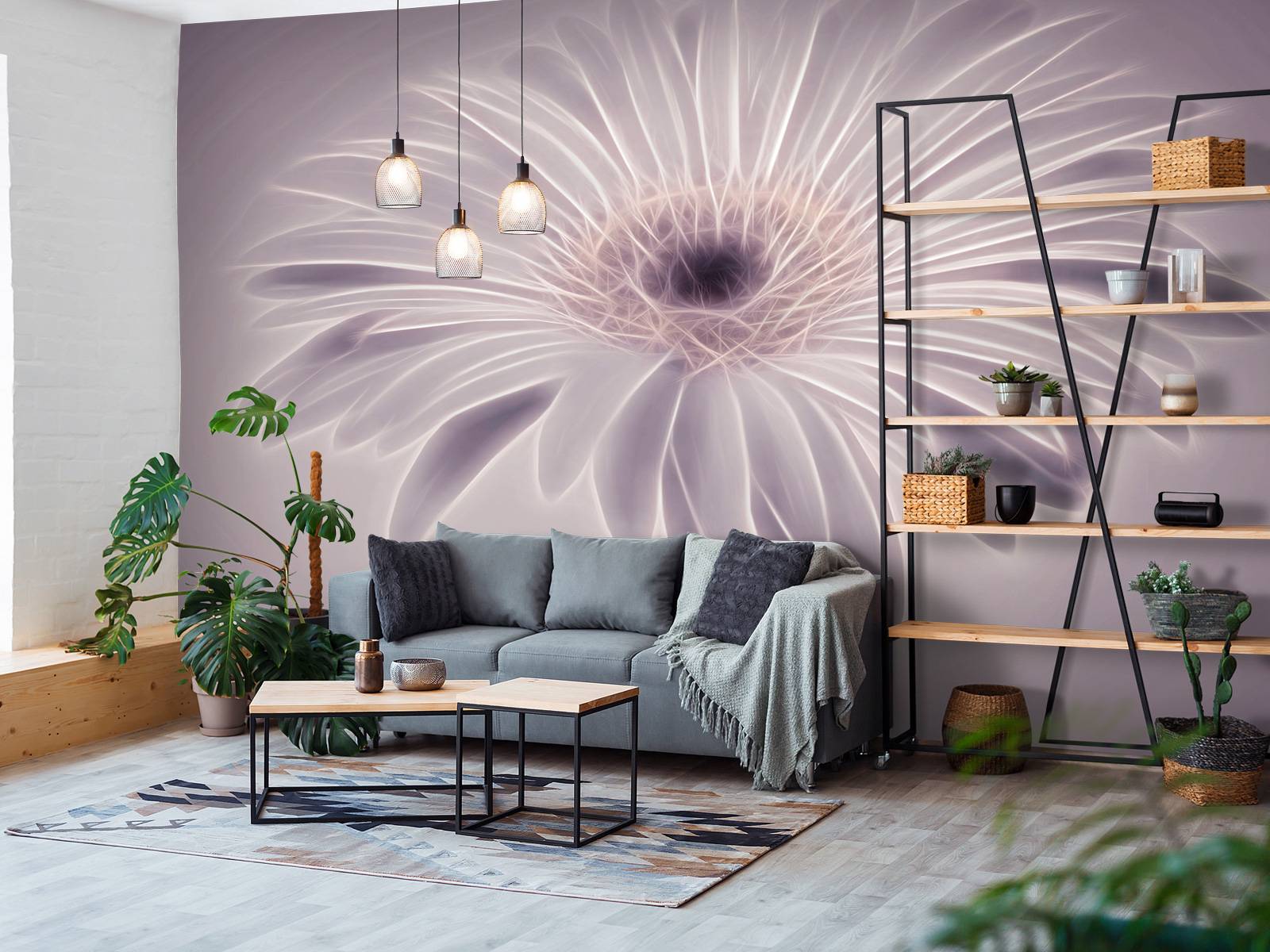 Gerbera