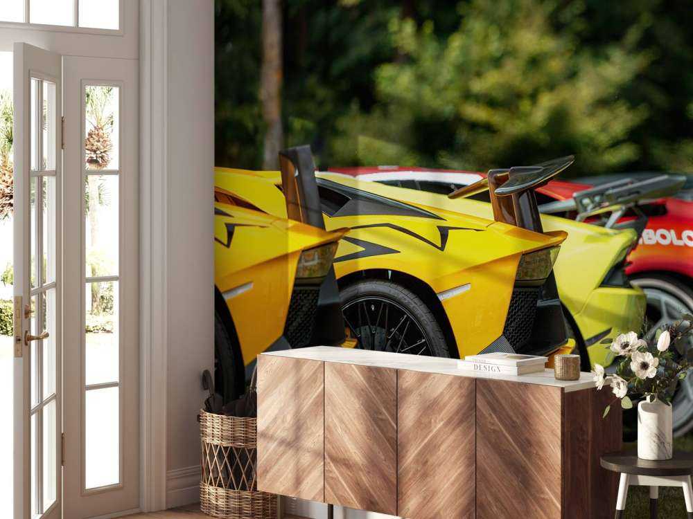 Collection de supercars dans la nature