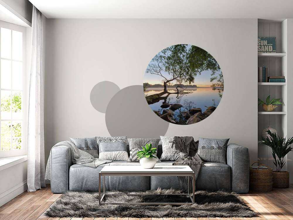 Lake view