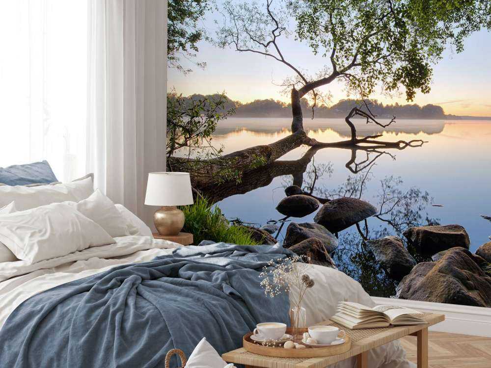 Lake view