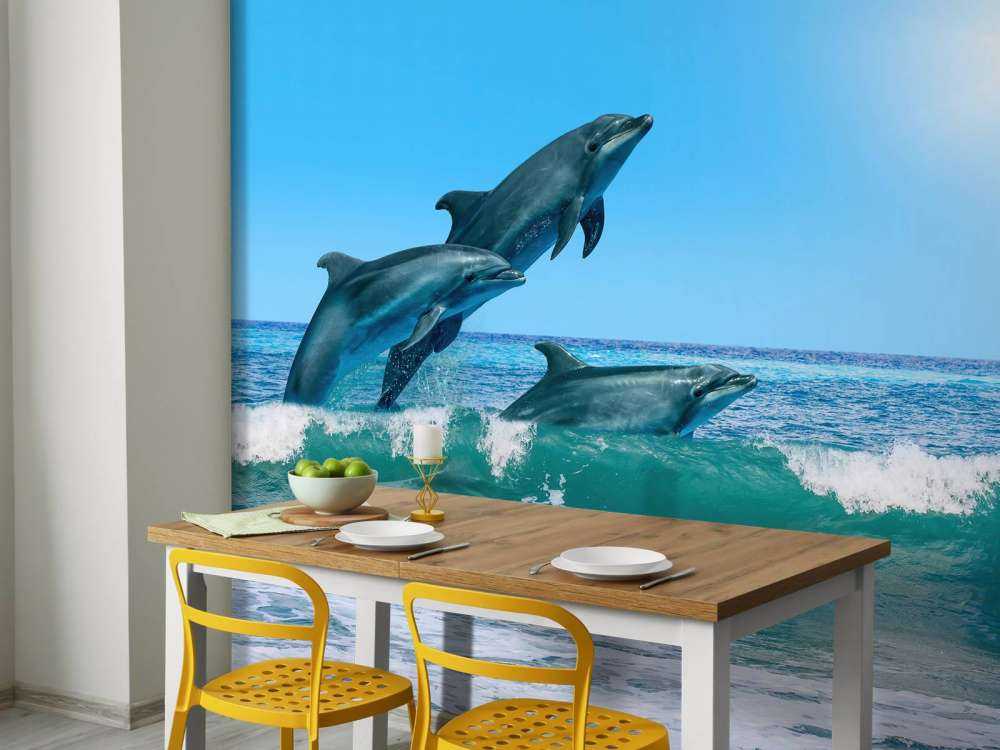 Dauphins sur la côte