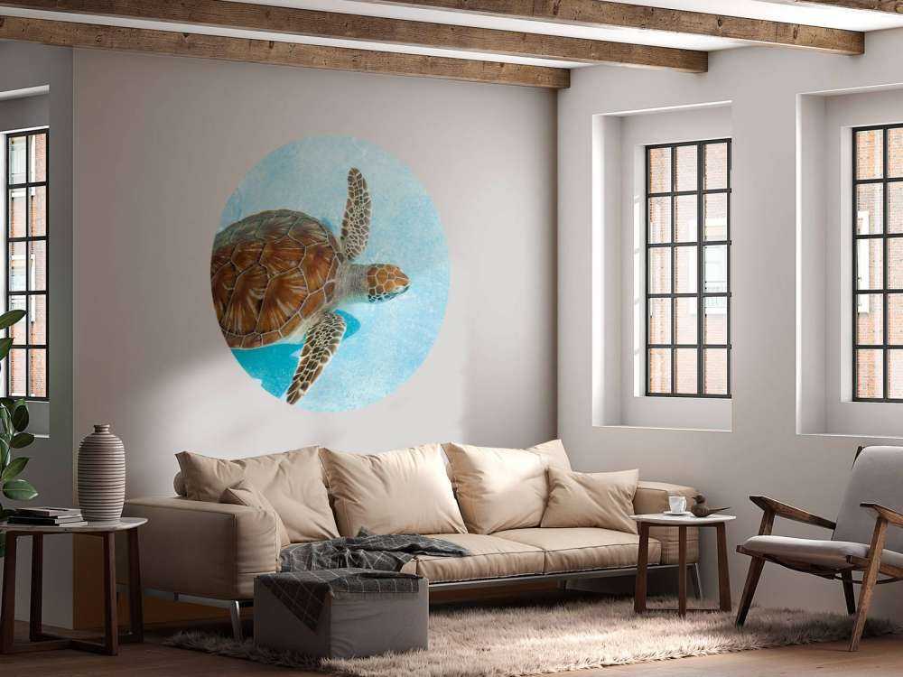 Une tortue dans l'eau