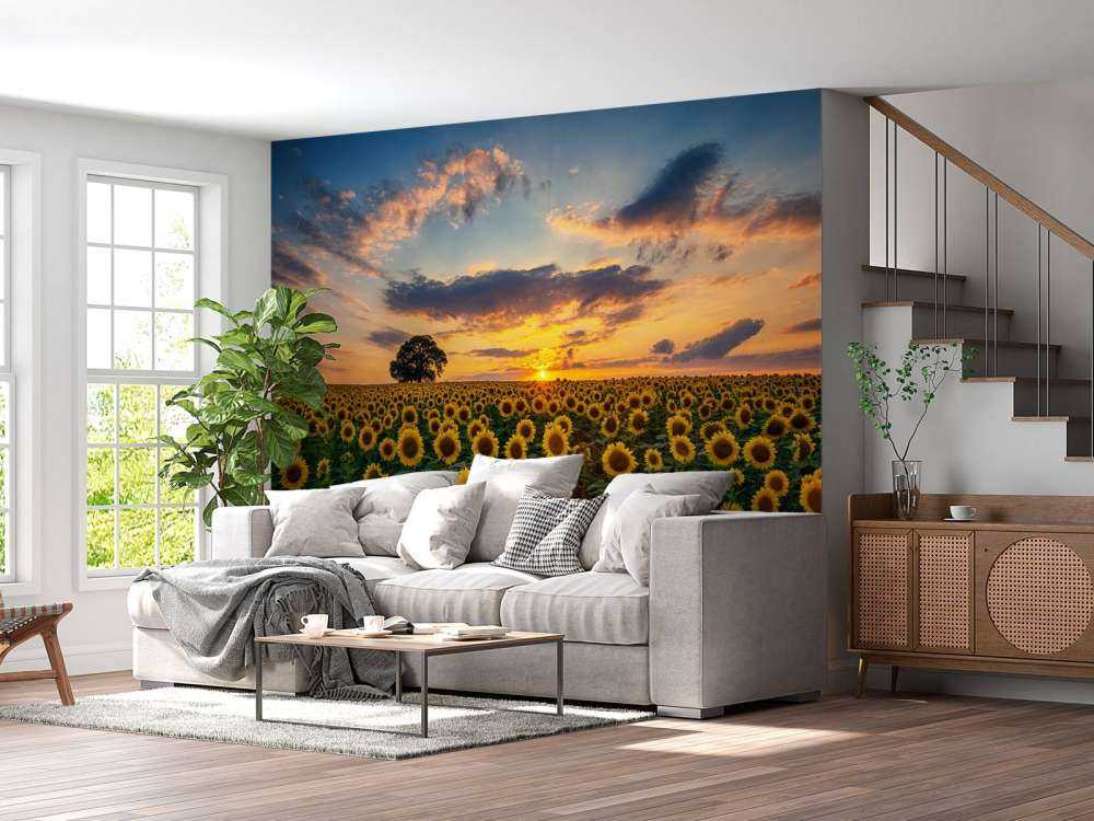 Un champ de tournesols