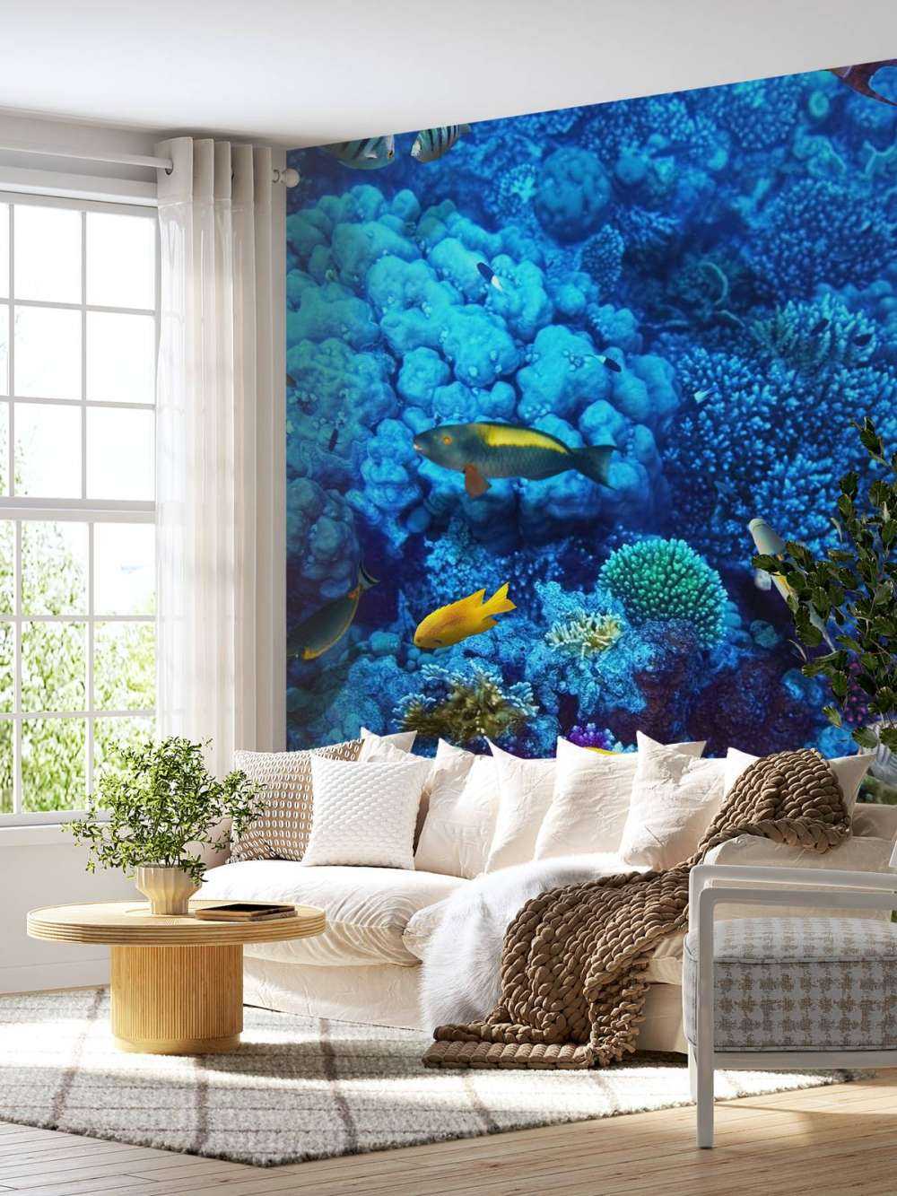 Poissons et coraux